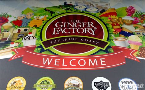 All about Ginger at the Ginger Factory