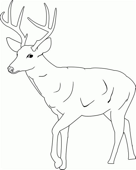 Printable Deer - Printable Word Searches