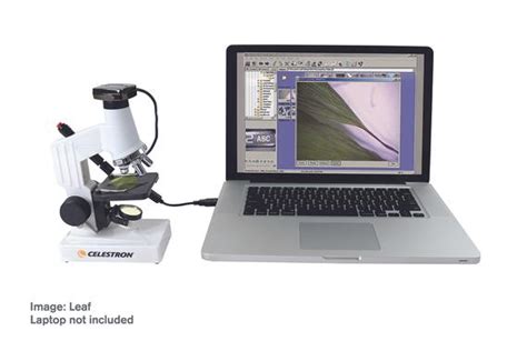 Best Digital Microscope Software - lalarlovely