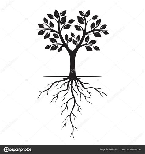 How Drawing Tree With Roots Drawing Drawing Image 11172 | The Best Porn Website