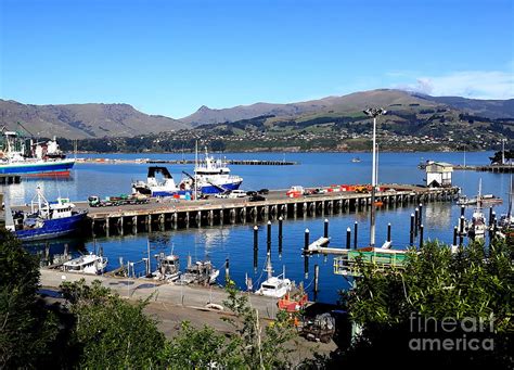 Lyttelton harbour Photograph by Joyce Woodhouse | Fine Art America