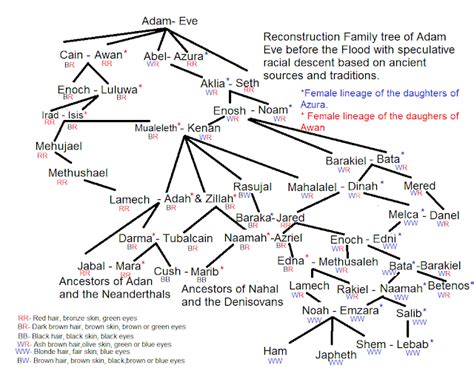 Adam Eve Family Tree Chart