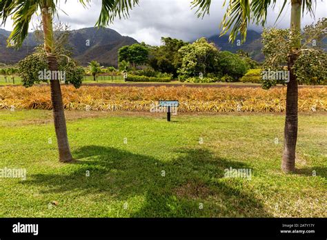 Maui Tropical Plantation, Maui, Hawaii, USA Stock Photo - Alamy