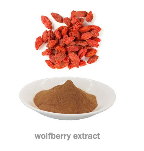 Wolfberry extract powder 100% natural organic - Ruistars