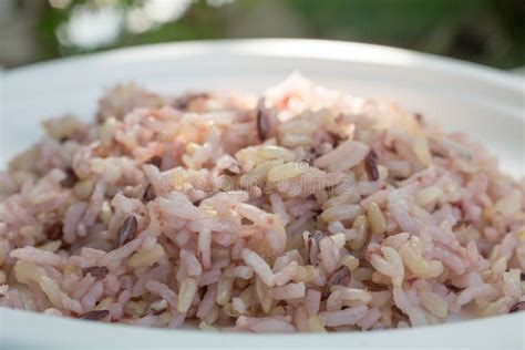 Gaba Rice in a Dish Made of Recycled Material the Background is Green Lawn Stock Photo - Image ...