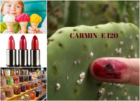 Carmine (E120) - is this a natural food colorant? - Complementary Food