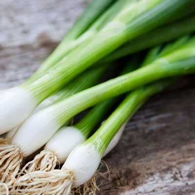 Recipes with Scallion | Petite Gourmets