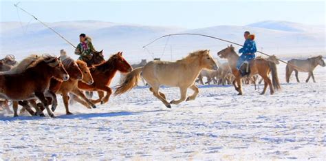 Photography Trip to Hulunbuir Prairie, Inner Mongolia