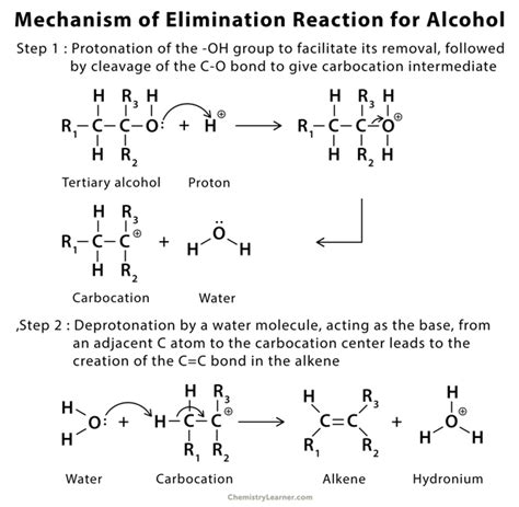 Elimination Reaction: Definition, Examples, Mechanism, and Applications