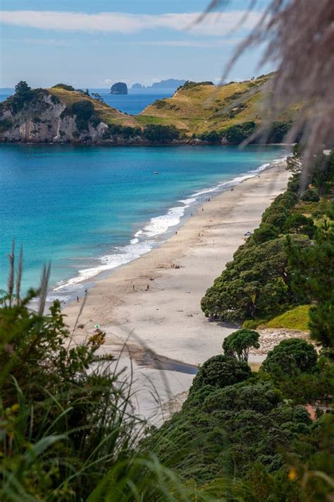 View of Hahei Beach in New Zealand Stock Photo - Image of nature, grass: 159437178