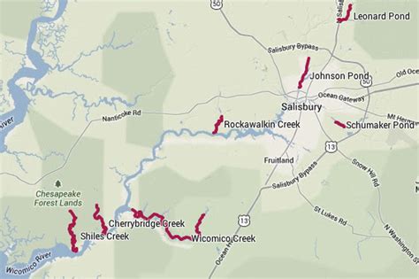 Paddle Trails - Wicomico River Stewardship Initiative