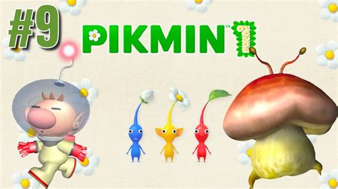 Pikmin 1 Part 9 - Gameplay Walkthrough - The Puffstool Day 10 (NS) - YouTube