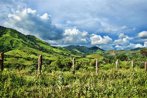 Llanos Venezolanos #2 Photograph by Galeria Trompiz - Pixels