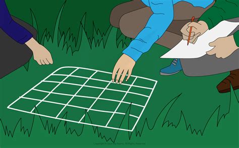 Edexcel IGCSE Biology: Double Science 复习笔记 4.1.2 Practical: Investigating Population Size