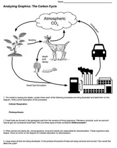 Analyzing Graphics: The Carbon Cycle