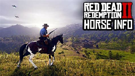 Red Dead Redemption 2 - NEW HORSE CUSTOMIZATION INFO! RDR2 HORSE SKILLS ...