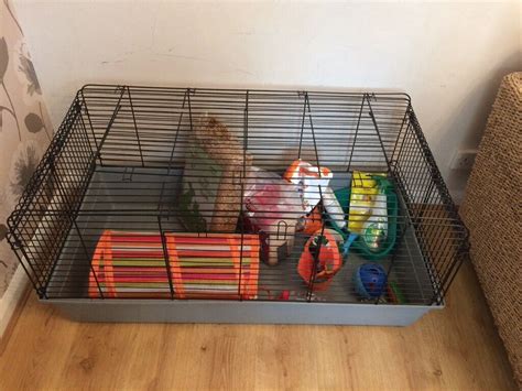 Rabbit cage and accessories | in Beeston, Nottinghamshire | Gumtree