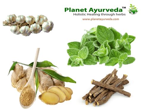 herbal remedies for asthma - Theayurveda