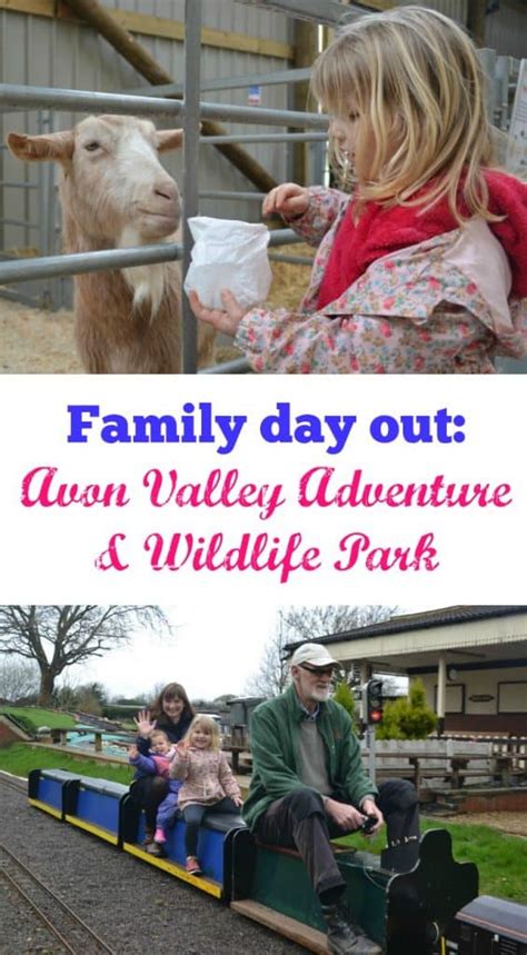 Family day out: Avon Valley Adventure & Wildlife Park - Tin Box Traveller