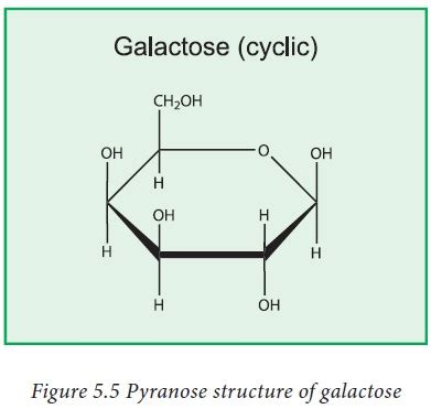 Structure of Glucose, Fructose and Galactose