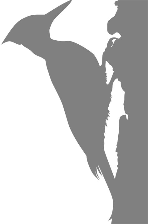 Woodpecker Silhouette | Free vector silhouettes