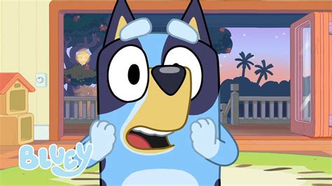 Bluey Full Episodes Compilation | Bluey - YouTube