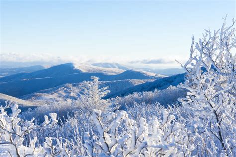 Winter Activities in Asheville, NC - The Residences at Biltmore