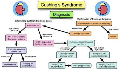 Cushing's Syndrome: Symptoms, Causes, Treatment, Diagnosis, Definitions, Adrenal Gland — EZmed