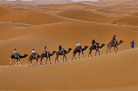 Postcard Perfect: Camel Trekking in the Sahara Desert