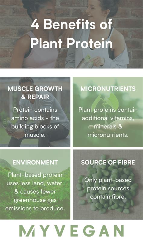 4 Amazing Benefits of Plant-Based Protein | MYVEGAN™