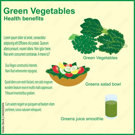 Green vegetables health benefits infographic. Stock Vector | Adobe Stock