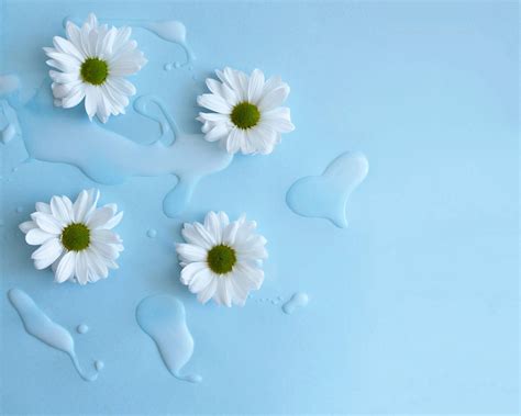 Free Aesthetic Flower Wallpaper Downloads, [100+] Aesthetic Flower ...