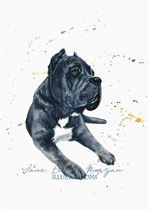 Pet Portraits | Cane Corso | Watercolor dog portrait, Illustration, Dog art