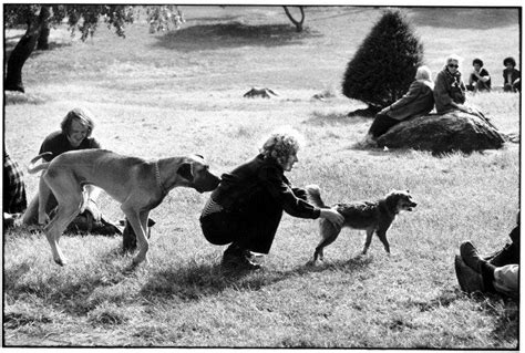 How To Photograph Dogs Like Elliott Erwitt — about photography