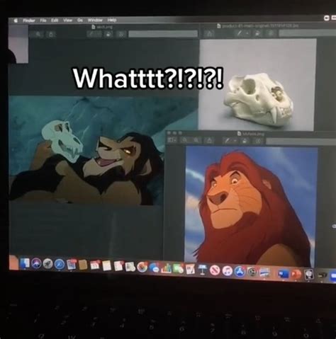 Did Scar EAT Mufasa? TikTok users fuel Lion King conspiracy theory ...