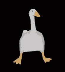 Dancing Goose Dancing Duck Meme GIF - Dancing Goose Dancing Duck Meme Duck Dance - Discover ...