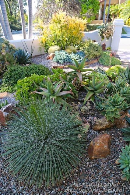 Succulent Garden Design Ideas | Fasci Garden