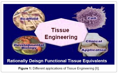 tissue-science-engineering-Tissue-Engineering