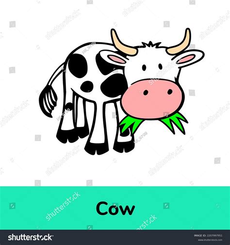 Cow English Word Flashcard Beginners Stock Illustration 2207997951 | Shutterstock