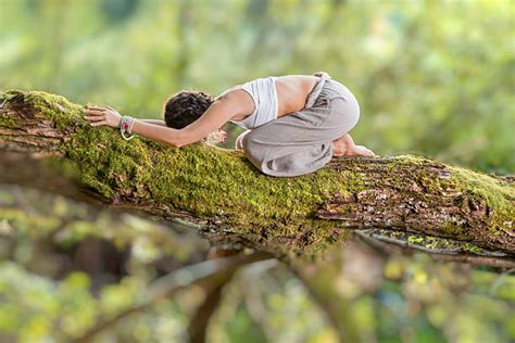 Yoga In Forest Stock Photos, Pictures & Royalty-Free Images - iStock