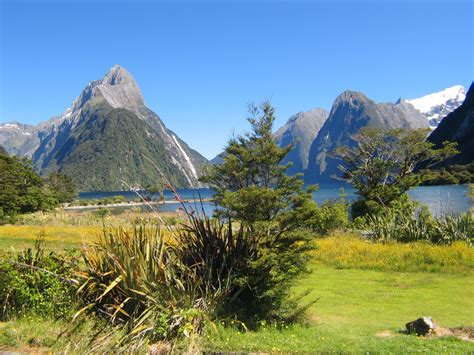 Guides - New Zealand, S Island - Milford Sound - Dave's Travel Corner