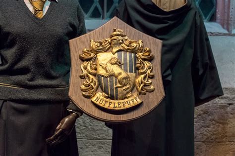 Hufflepuff House Personality Traits: Good and Bad