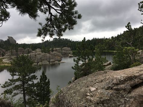 Custer State Park! South Dakota! | Custer state park, State parks, Places ive been