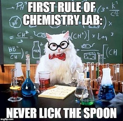 Chemistry Cat | Chemistry jokes, Chemistry cat, Science puns