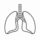 Respiratory System Coloring Page sketch template