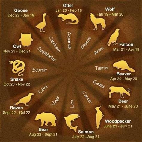 Native American Zodiac | Native american zodiac, Native american ...