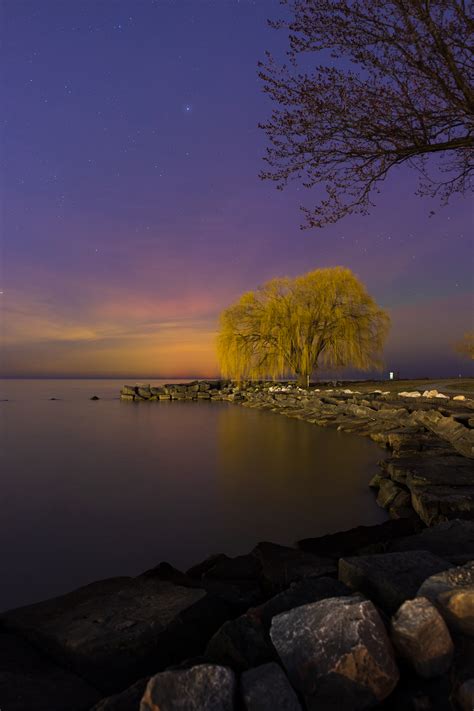 The Aurora and the Willow - Professional Photographer in Cleveland