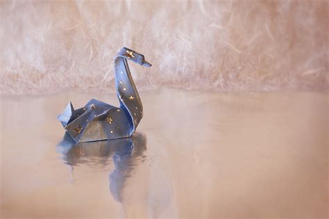 Swan Origami, HD Creative, 4k Wallpapers, Images, Backgrounds, Photos and Pictures