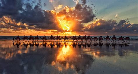 Sensational Sunset Camel Tour, Cable Beach Broome