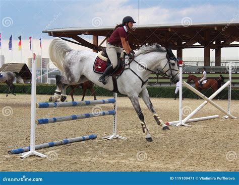 Sport -show Jumping Training - White Horse Jumping Editorial Photo ...